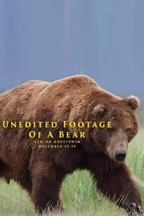 Unedited Footage of a Bear